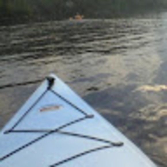 Meet your Posher, Karen - Picture 1 of 1